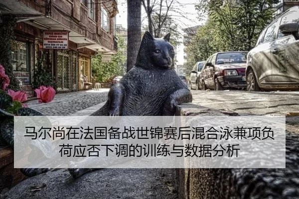 马尔尚在法国备战世锦赛后混合泳兼项负荷应否下调的训练与数据分析