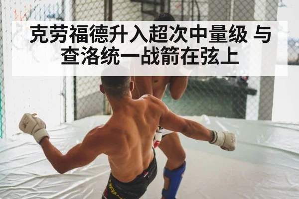 克劳福德升入超次中量级 与查洛统一战箭在弦上