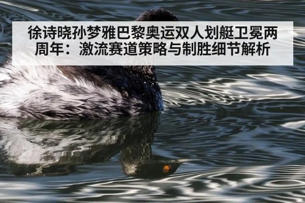 徐诗晓孙梦雅巴黎奥运双人划艇卫冕两周年：激流赛道策略与制胜细节解析