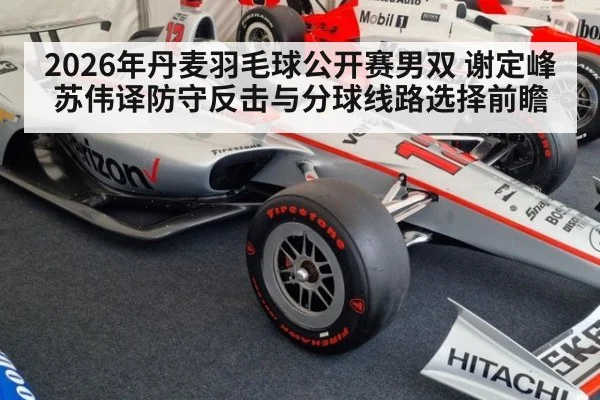 2026年丹麦羽毛球公开赛男双 谢定峰苏伟译防守反击与分球线路选择前瞻